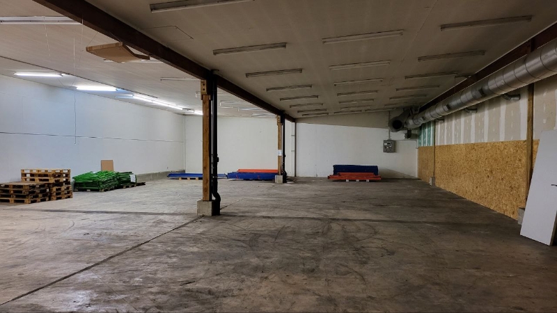 Halle Bild 1